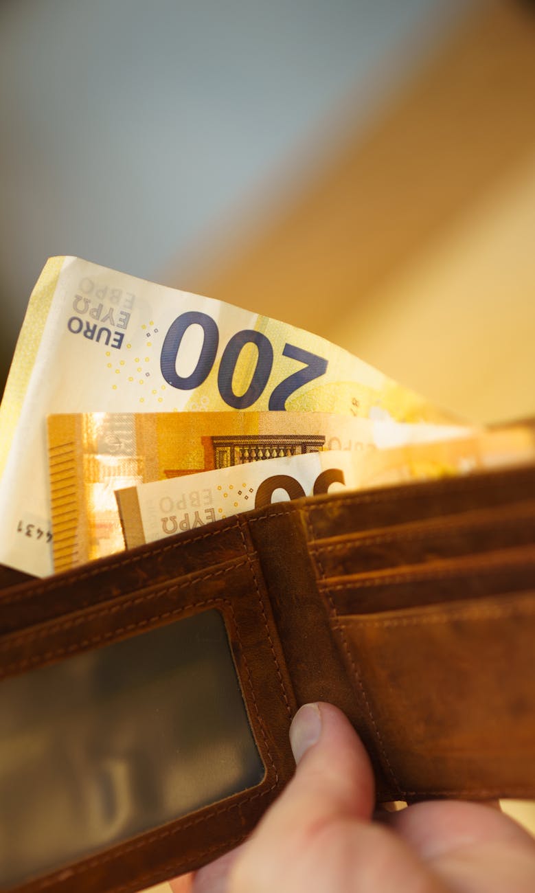 leather wallet with euro banknotes in hand